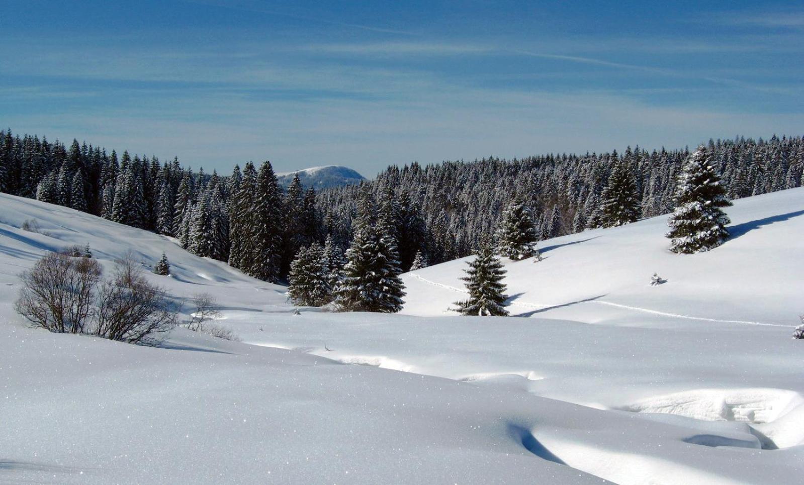 Schoene Aussicht Todtnau Exteriér fotografie